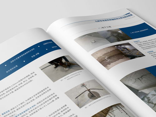 期刊畫(huà)冊(cè)設(shè)計(jì) 連接內(nèi)容與視覺(jué)的藝術(shù)橋梁